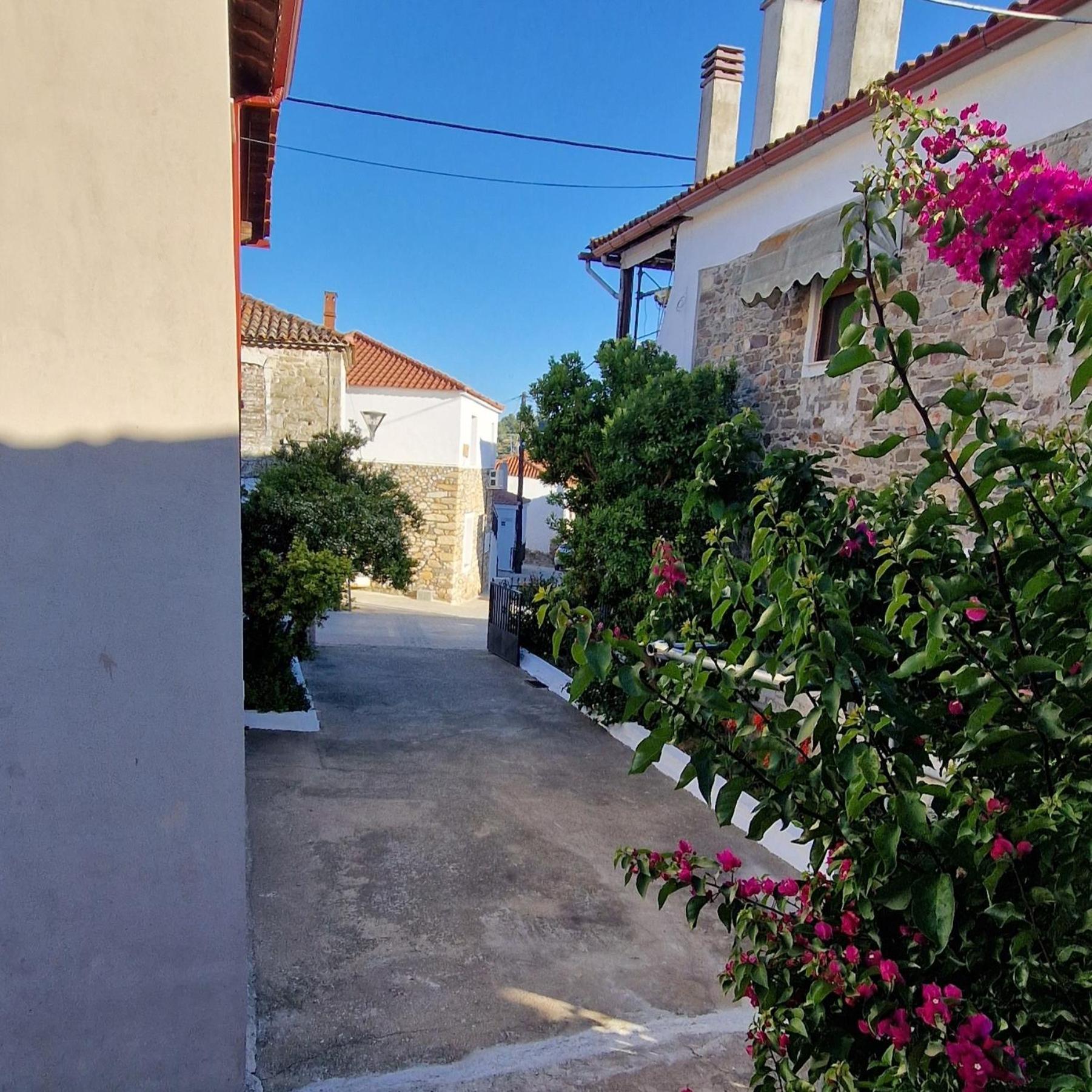 Nikolaos House Apartamento Agios Nikolaos  Exterior foto